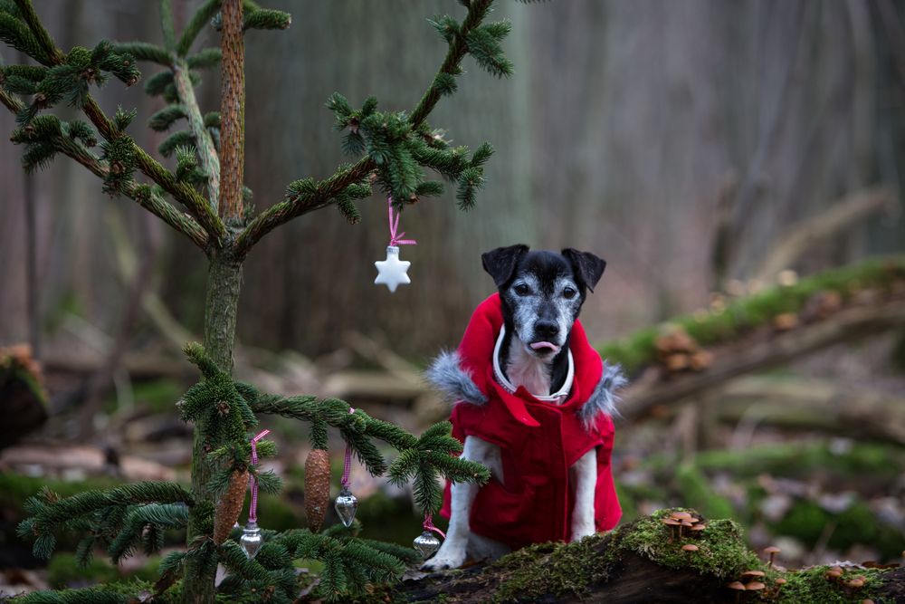 heute bei Kathrin im Wald