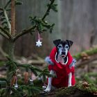 heute bei Kathrin im Wald