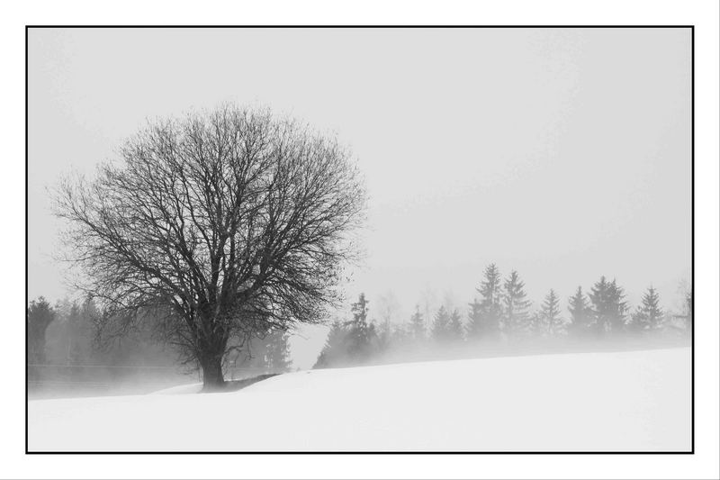 Heute bei Nebel