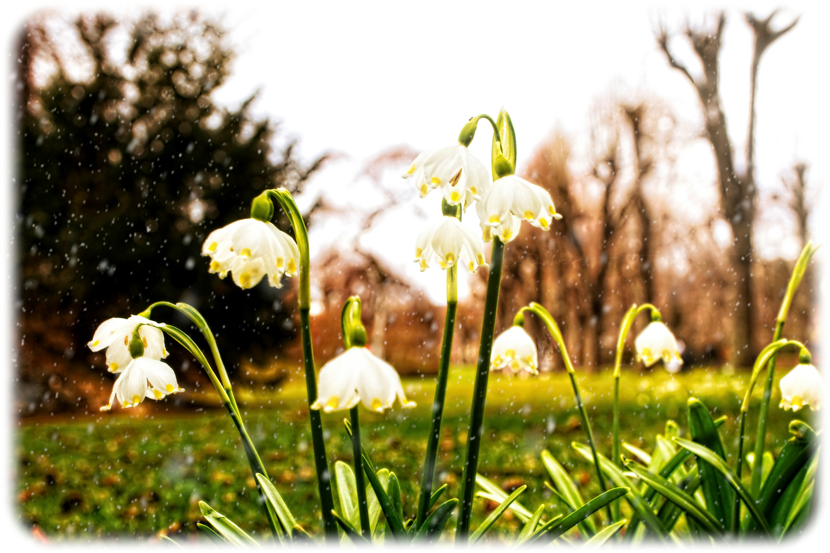 Heute bei uns im Park