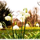 Heute bei uns im Park