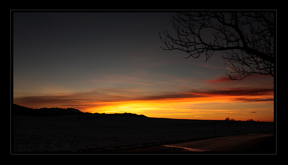 Heute beim Abendspaziergang ... (4)