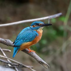 Heute beim anderen Eisi