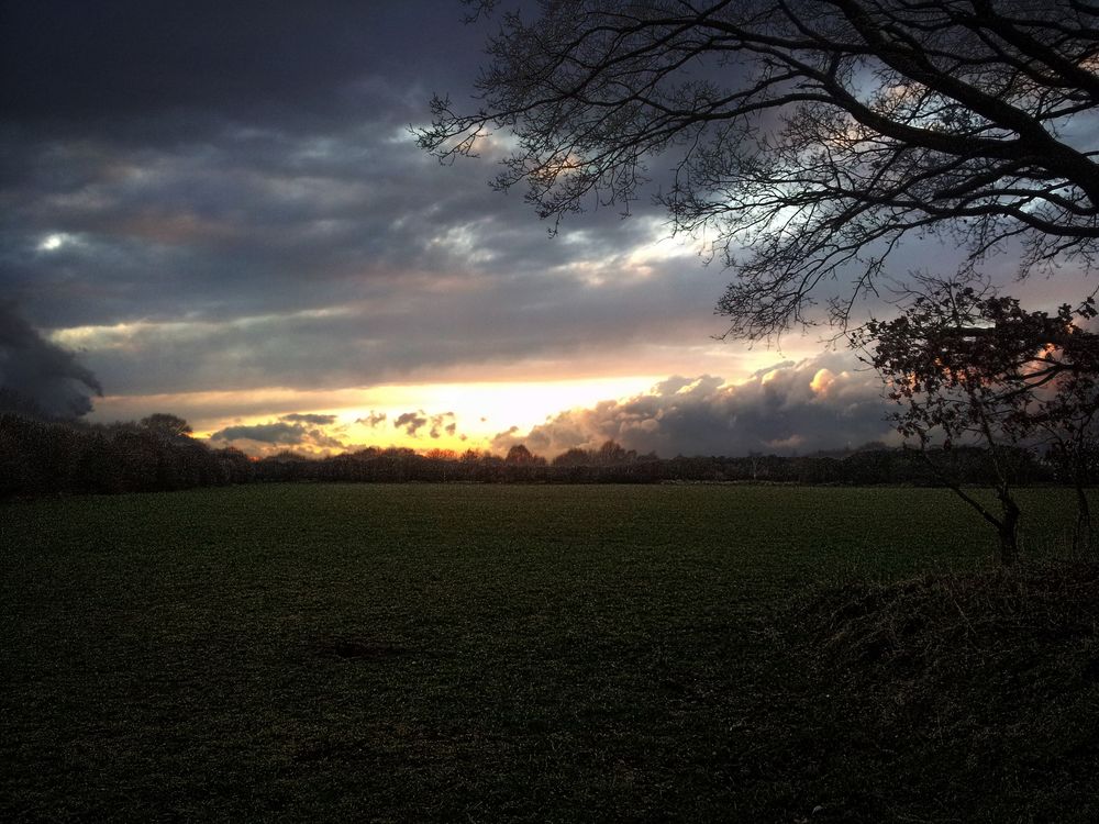 Heute beim Joggen