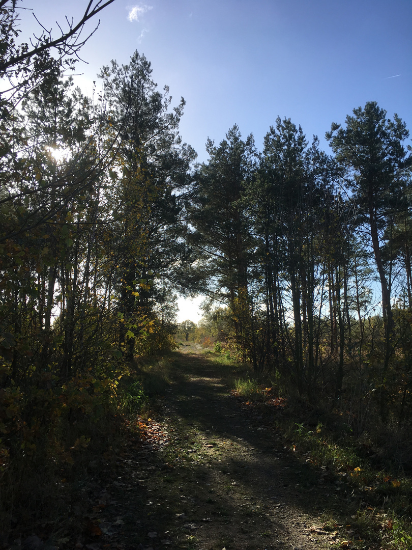 Heute beim Joggen 