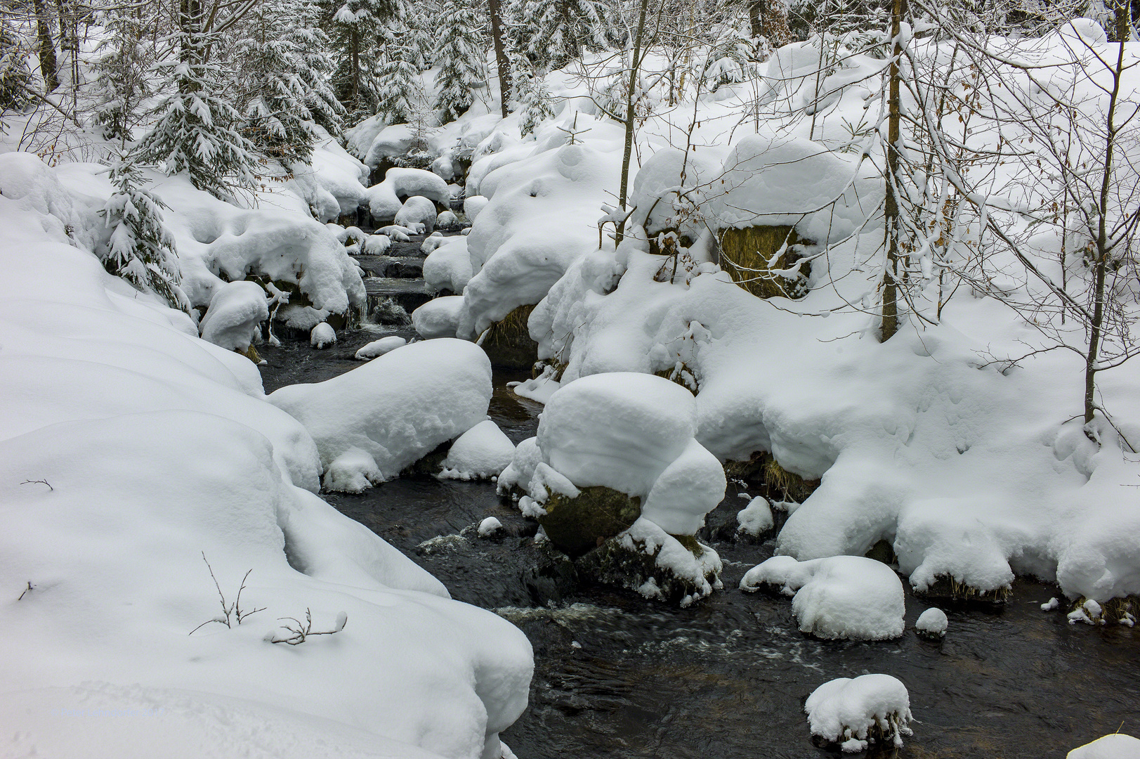 Heute beim Schneeschuhwandern entlang des Reschbachs im Nationalpark Bayerischer Wald