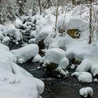 Heute beim Schneeschuhwandern entlang des Reschbachs im Nationalpark Bayerischer Wald