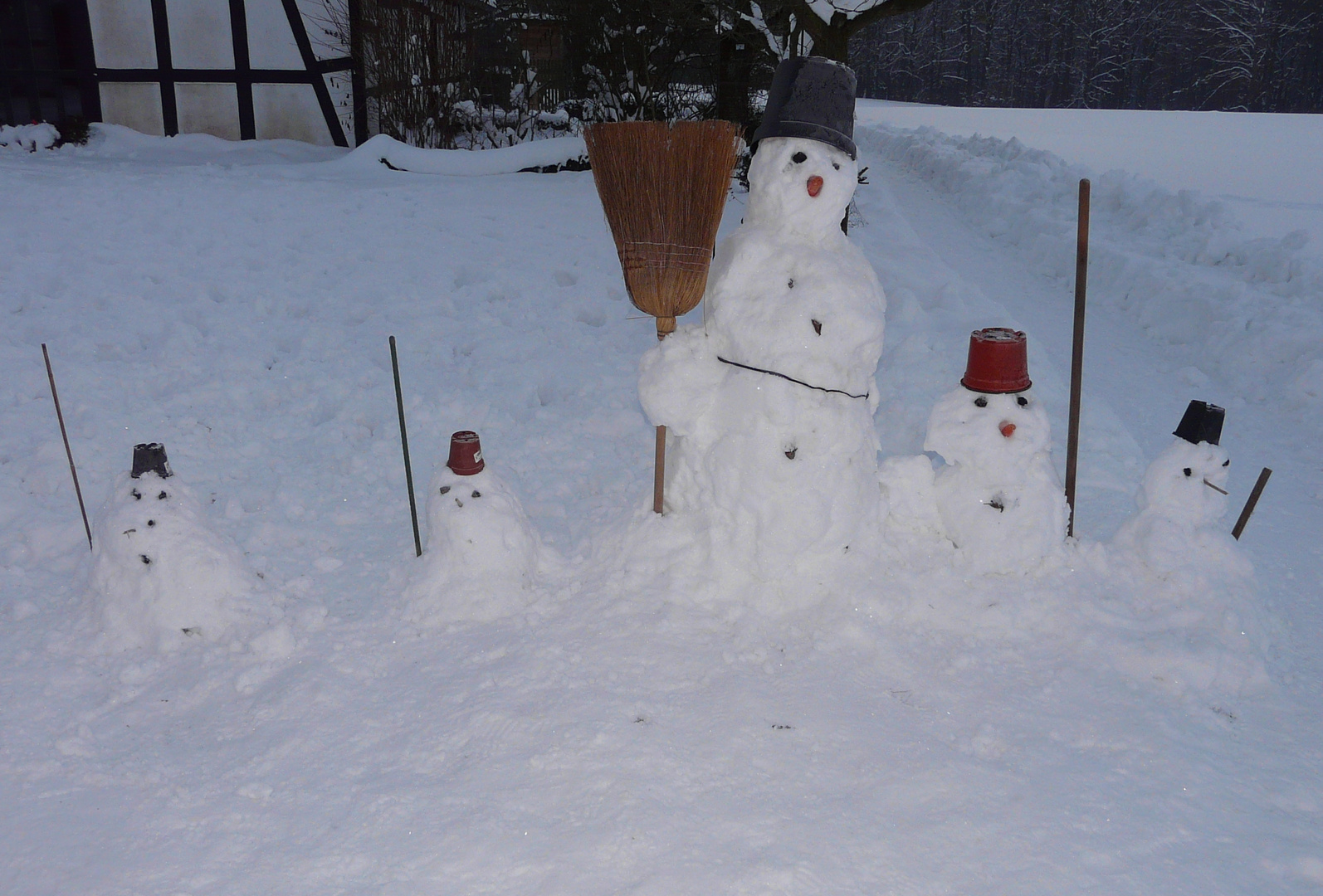 Heute beim Spaziergang entdeckt