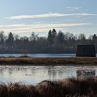 Heute beim Weitmannsee