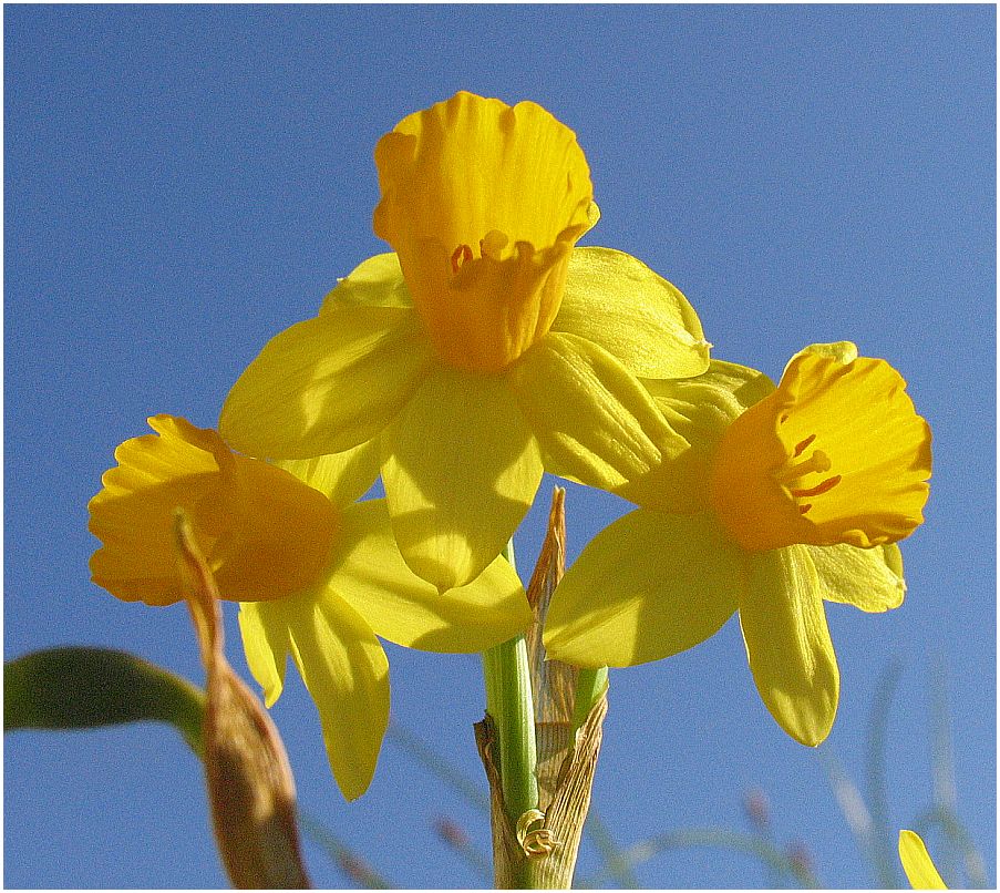 Heute: Blau-goldener Tag