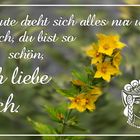 Heute dreht sich alles nur um dich