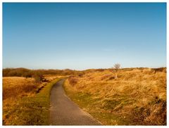 Heute durch die Borkumer Dünen