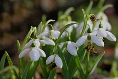 heute ein frühlingshafter Tag...