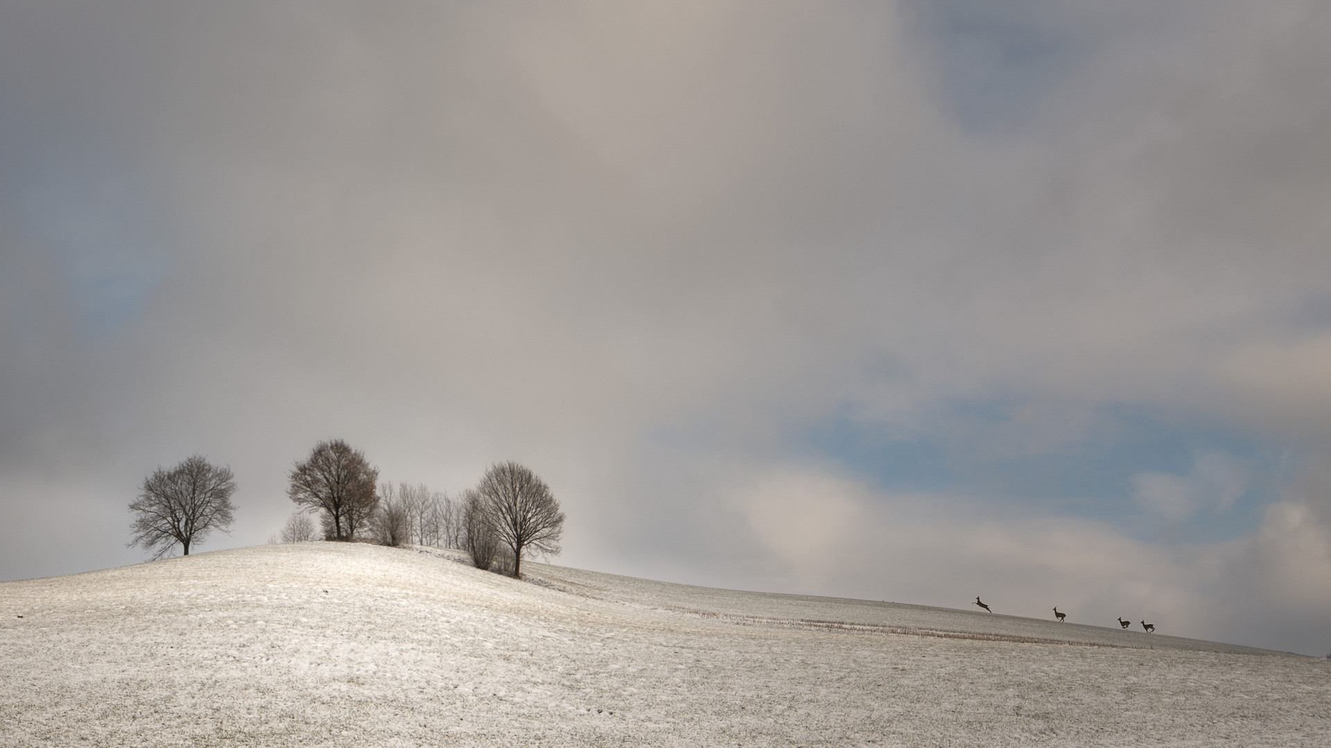 Heute … ein Hauch von Winter,