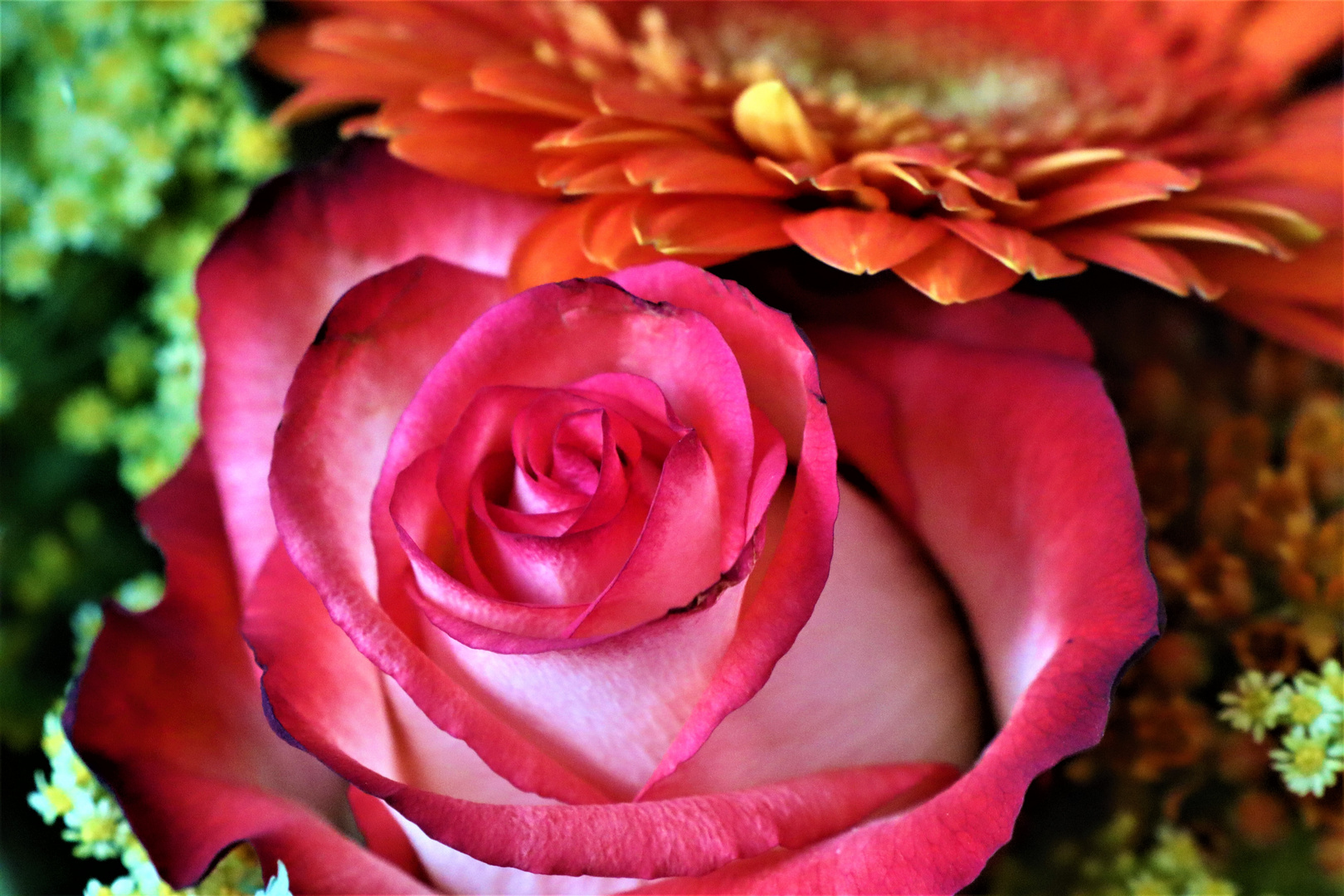 heute einmal meine Blumen zum Donnerstag für Euch