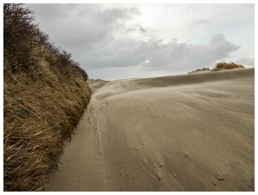 Heute entlang zwischen Dünen und Sand