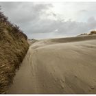 Heute entlang zwischen Dünen und Sand