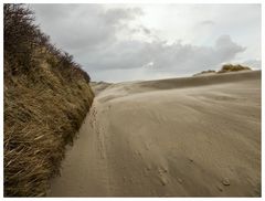 Heute entlang zwischen Dünen und Sand