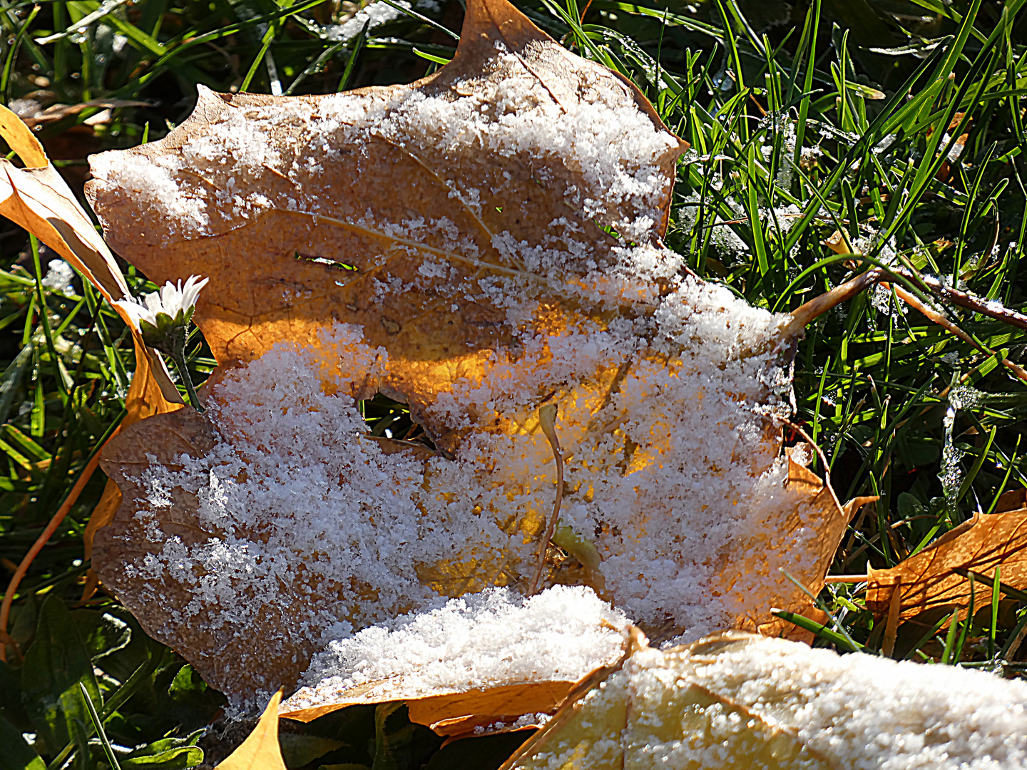 heute erster Schnee