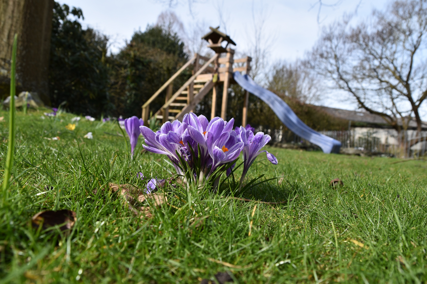 Heute fängt der Frühling an