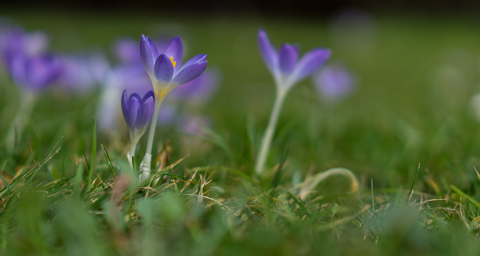 heute fast schon Frühling