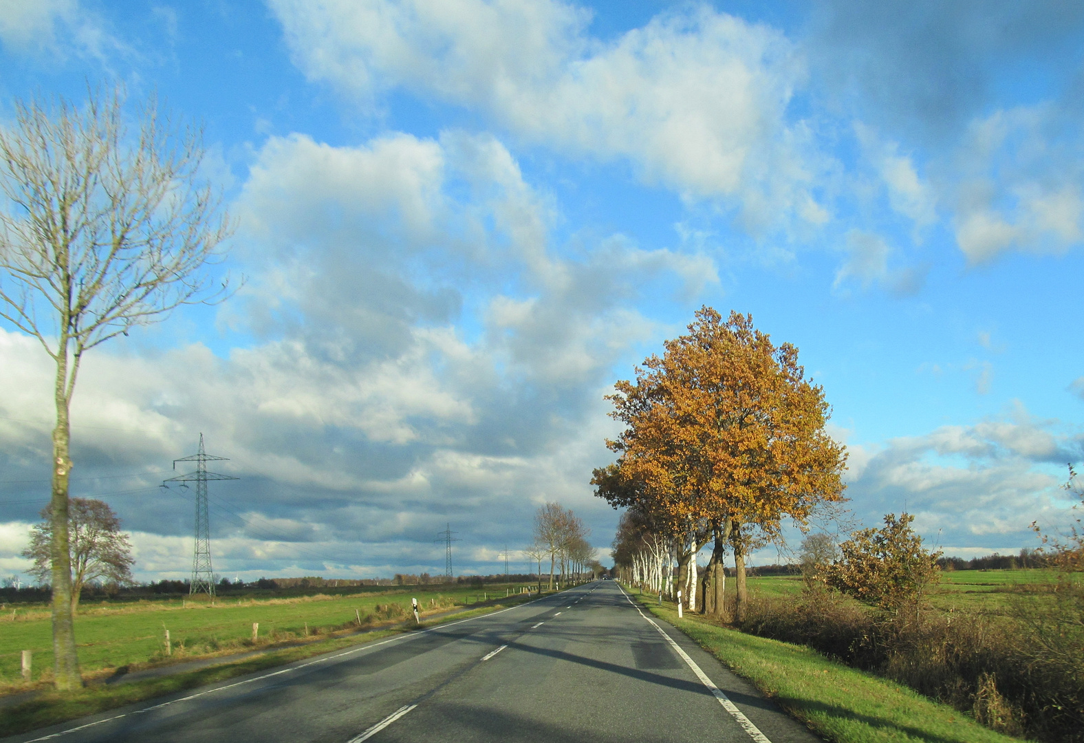 Heute Foto Bild landschaften outdoor b ume Bilder Heute Foto Bild landschaften outdoor b ume Bilder