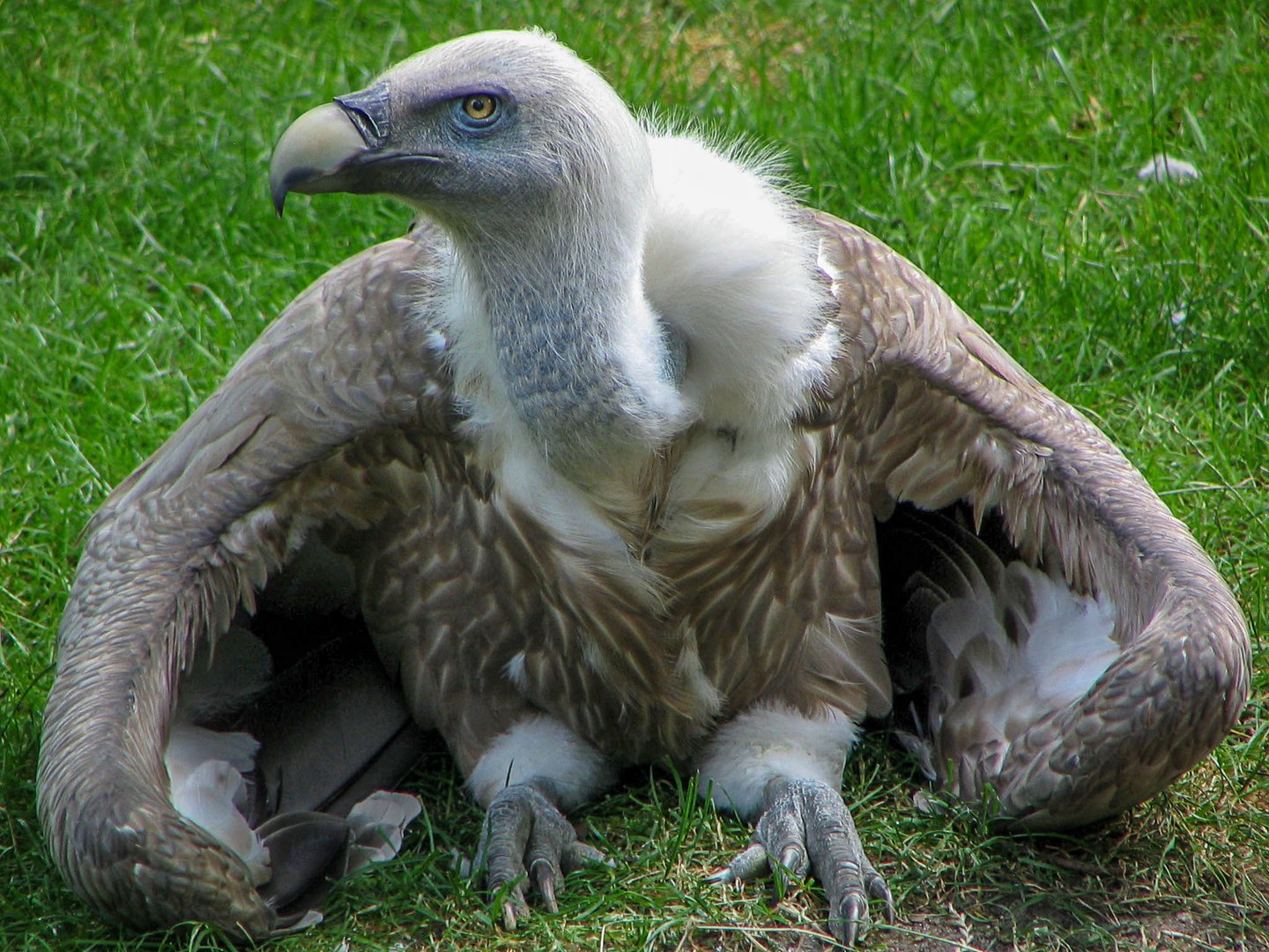 Heute flieg ich nicht mehr