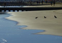 heute freie Strandbenutzung