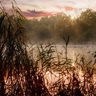 Heute früh am Charlottensee