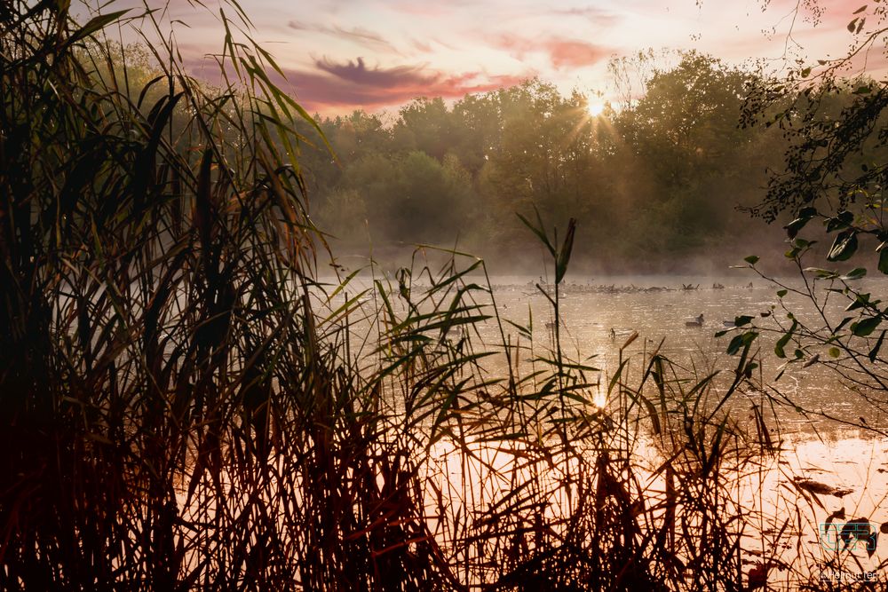 Heute früh am Charlottensee