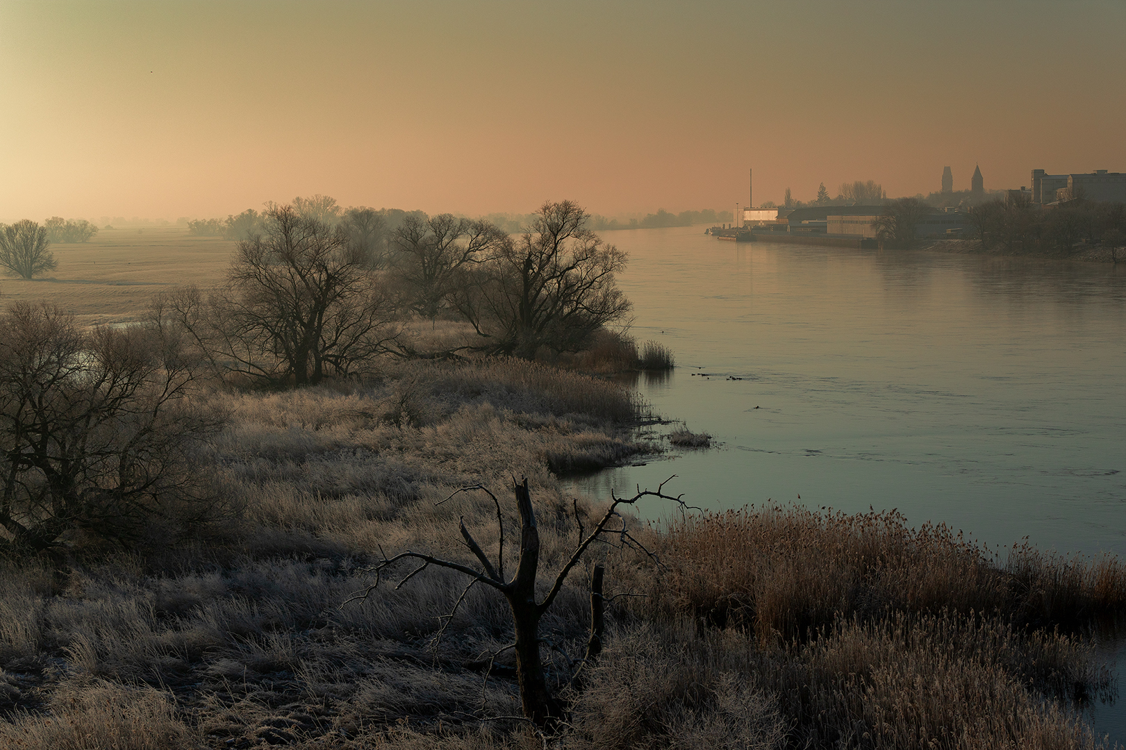 heute früh an der Elbe