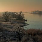 heute früh an der Elbe