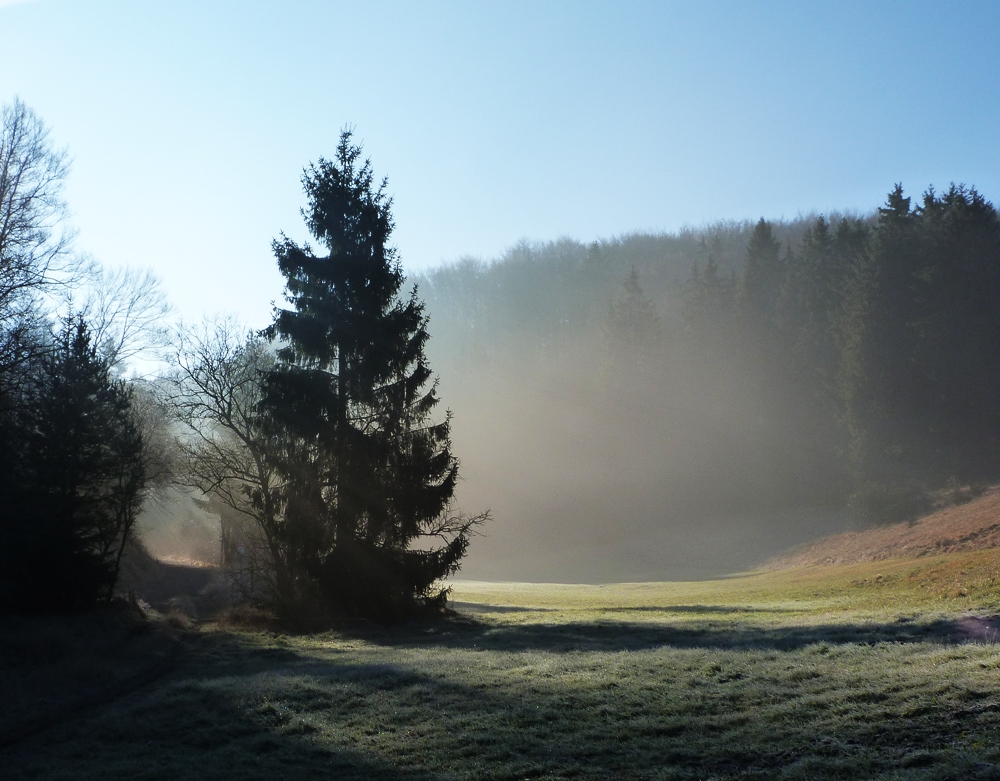 Heute früh bei Nettersheim in der Eifel...ein schönes Fleckchen Erde!