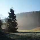 Heute früh bei Nettersheim in der Eifel...ein schönes Fleckchen Erde!