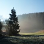 Heute früh bei Nettersheim in der Eifel...ein schönes Fleckchen Erde!