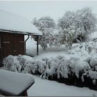 Heute früh, der Blick aus dem Fenster