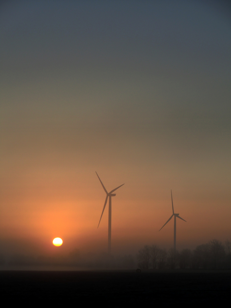 Heute früh im Nebel.