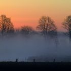 Heute früh im Nebel No. 3