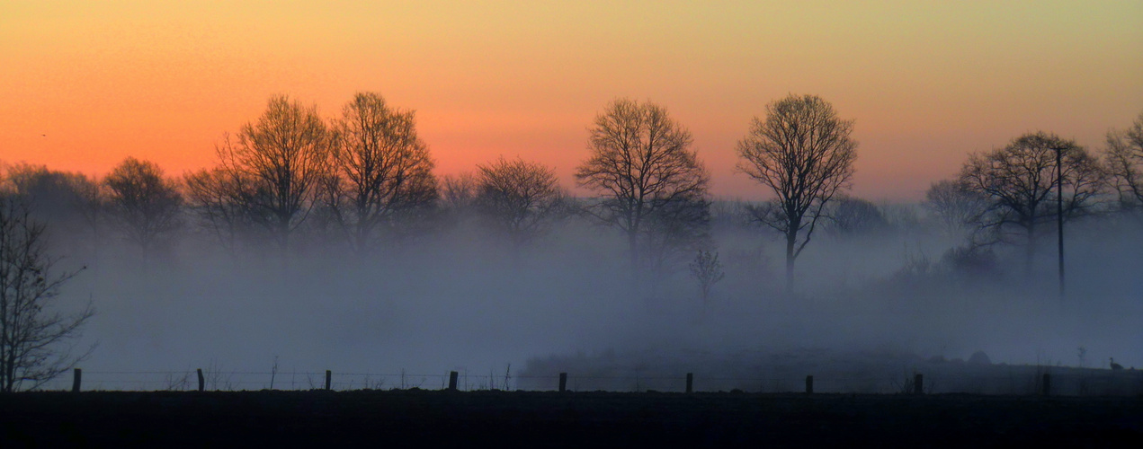 Heute früh im Nebel No. 3