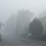 heute früh in "meiner" Strasse