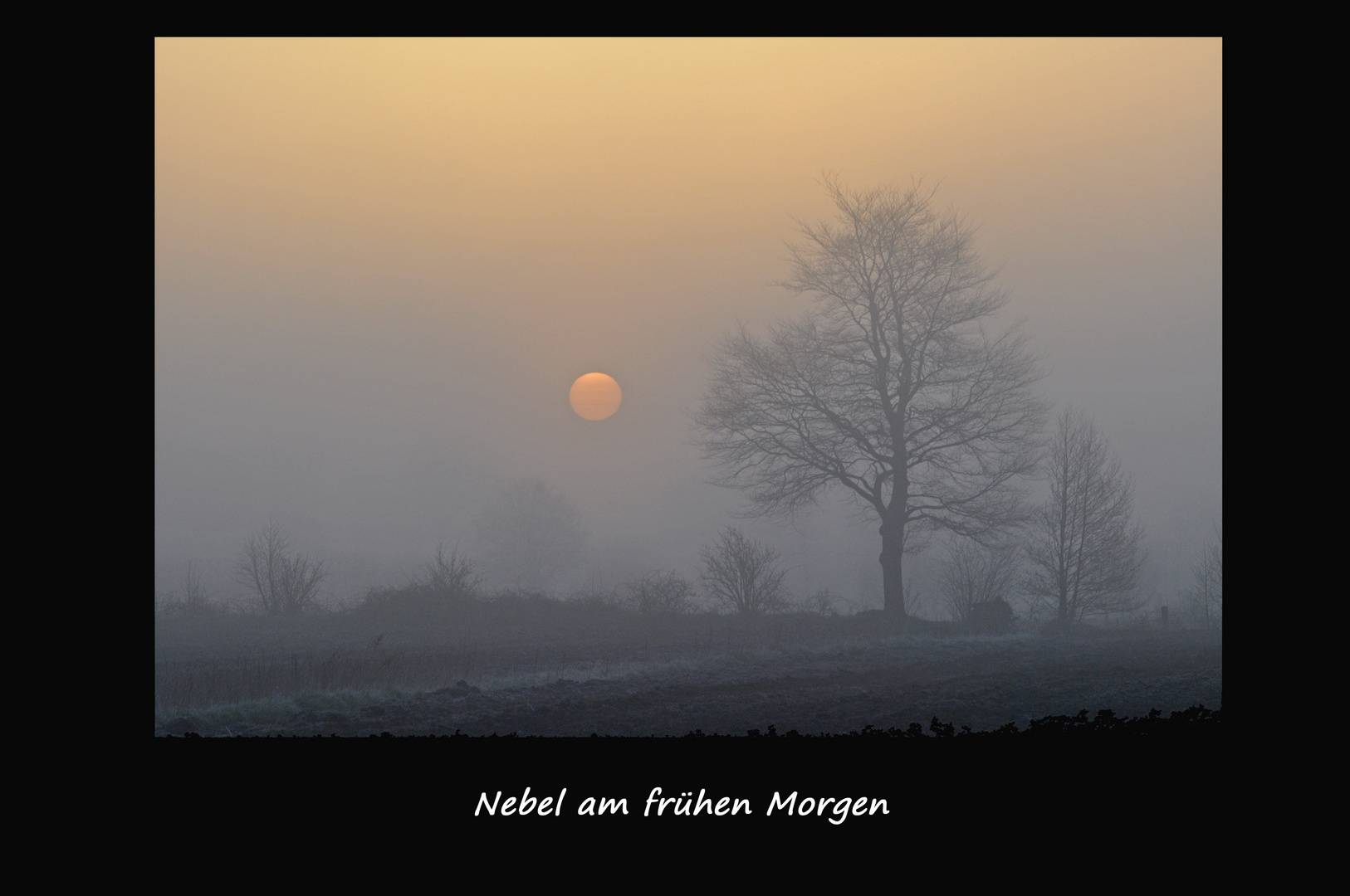 Heute früh in Schleswig-Holstein