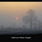 Heute früh in Schleswig-Holstein