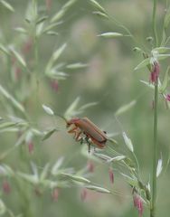 Fotocommunity Portfolio Von Miro