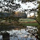 Heute früh  Teich  im Morgenlicht 17.10.18