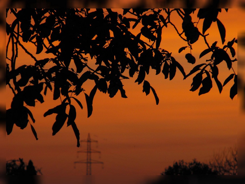 Heute früh um 6:40 Uhr (26.10.08)