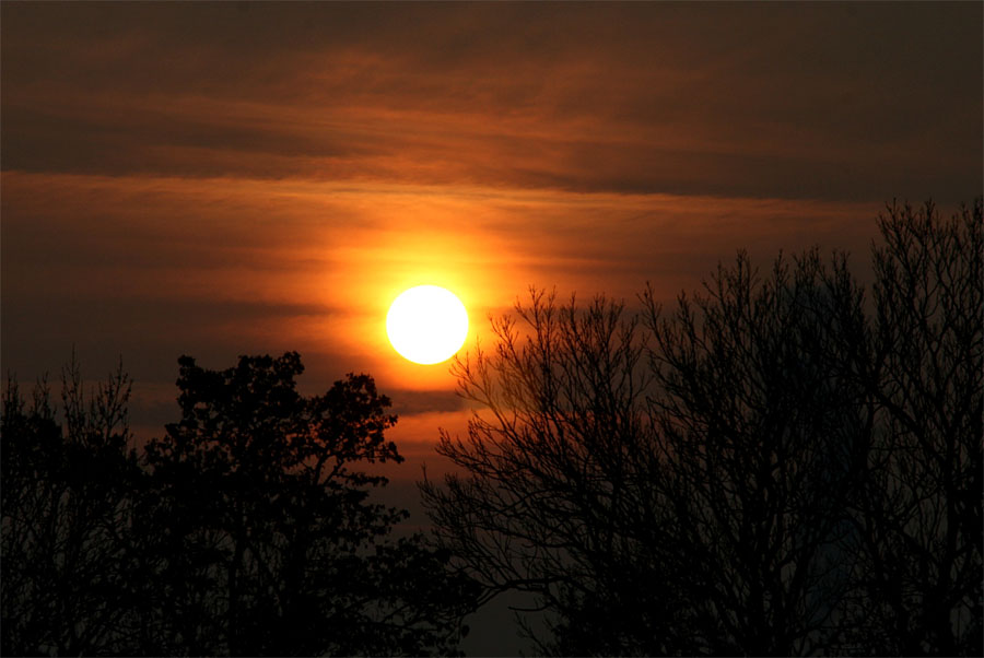 Heute gab es doch endlich mal ein wenig Sonne