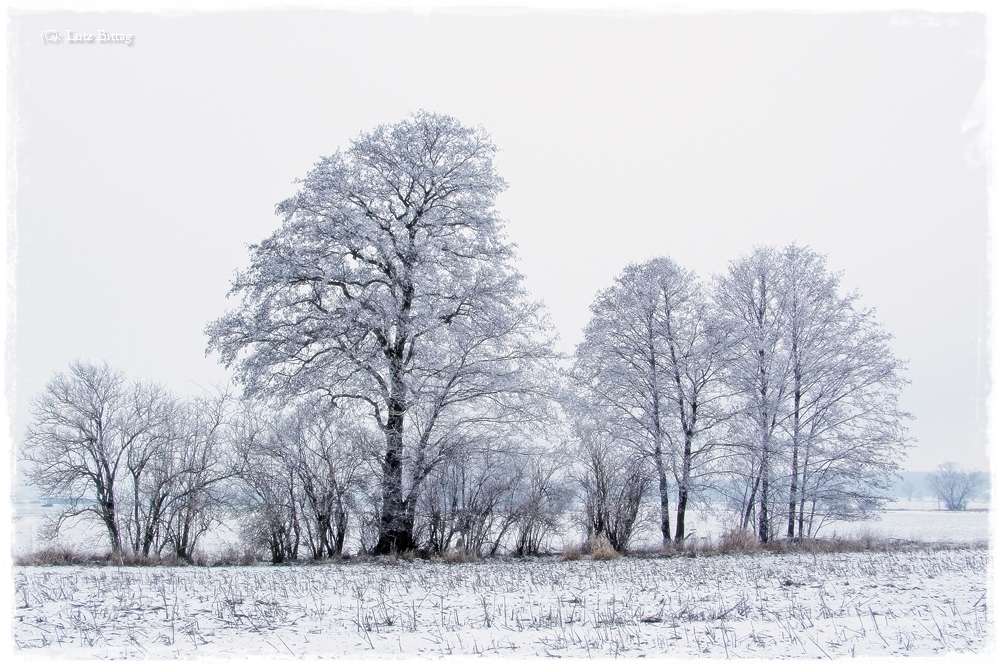 Heute gab es Schnee. ...