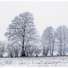 Heute gab es Schnee. ...