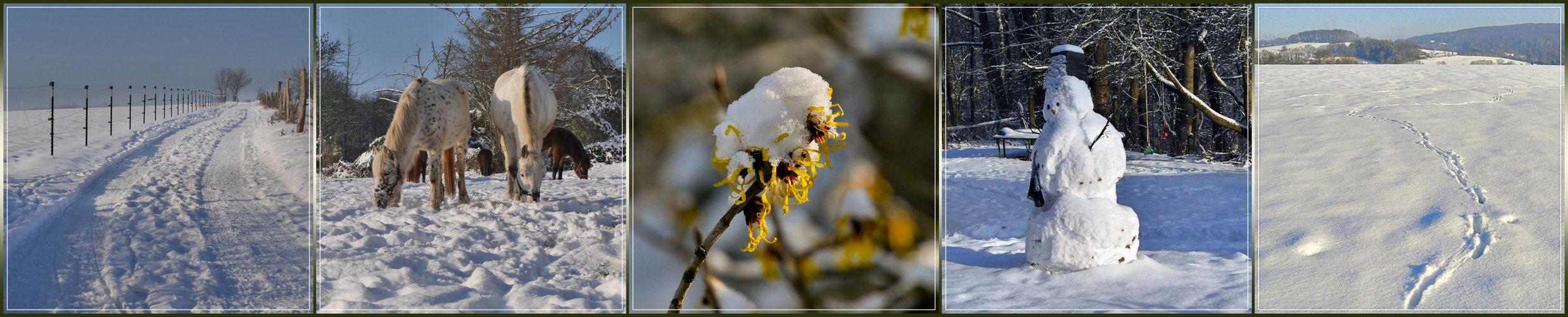 Heute gab es Sonne zum Schnee