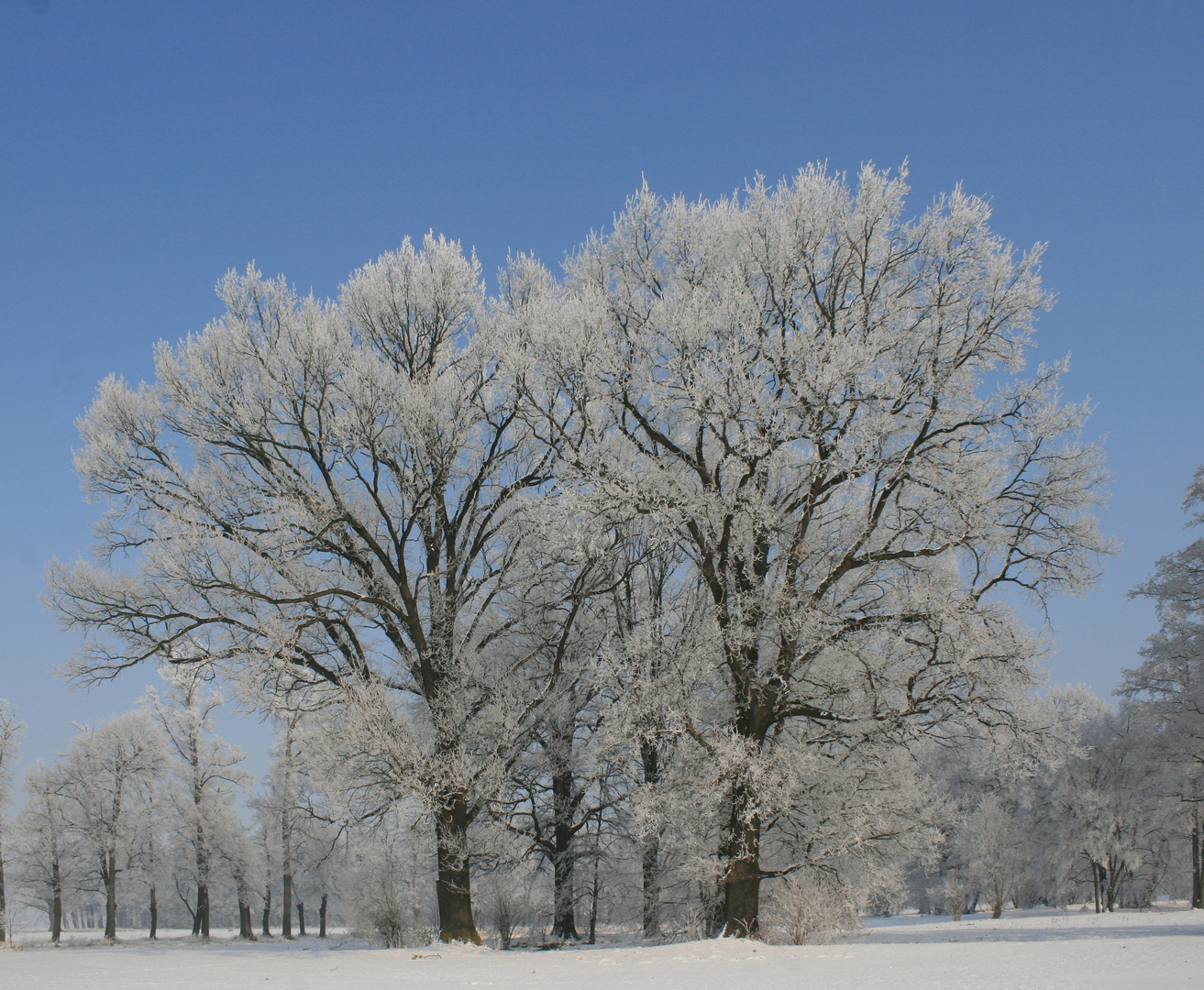 Heute gegen 12.00 Uhr- minus 17 Grad!